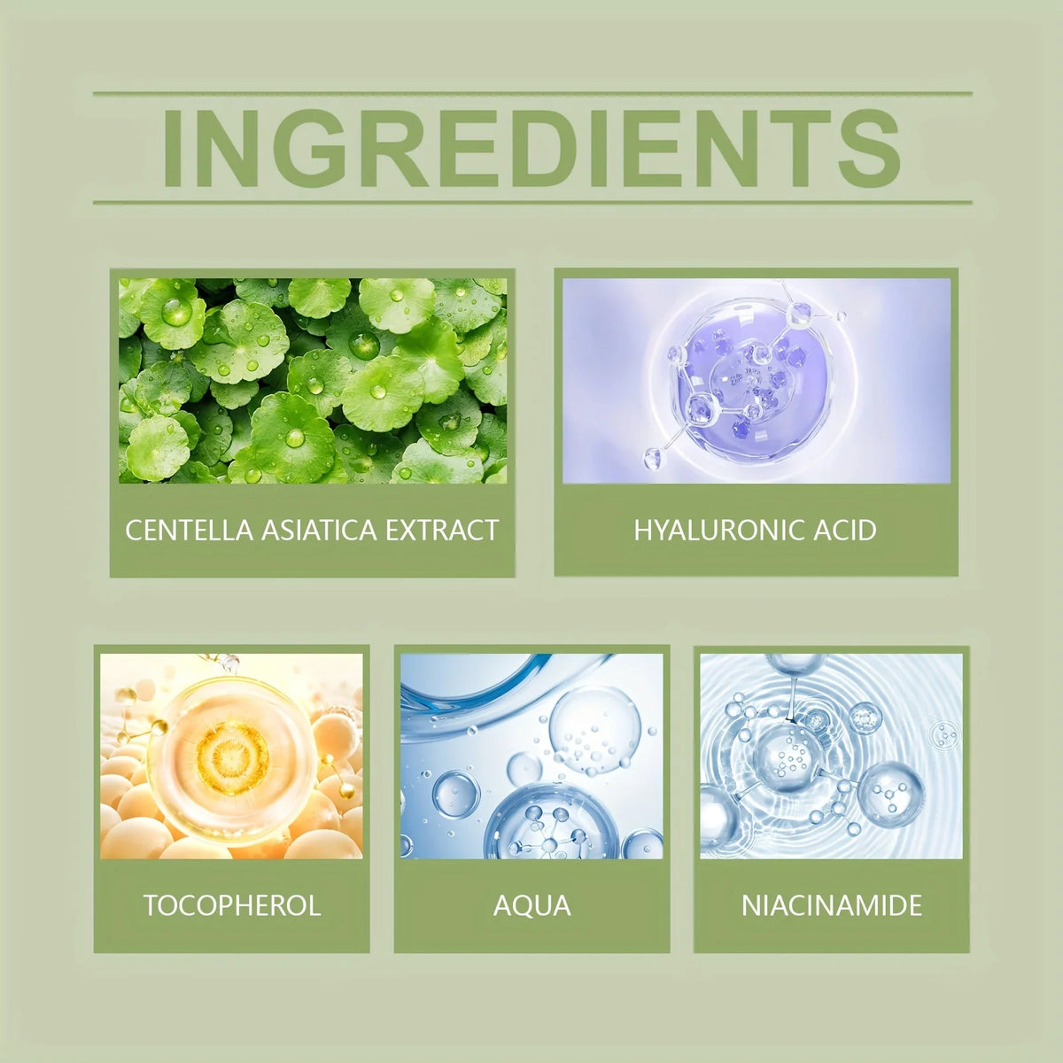 Centella Asiatica Serum Hyaluronic Acid Niacinamide Fragrance-Free Moisturizing Firming Brightening Hydrating Facial Essence